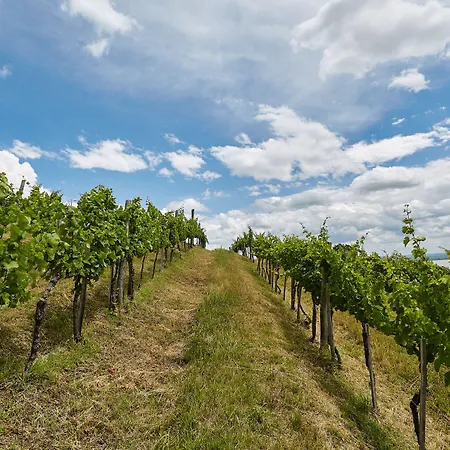 Hotel Patzay Borhotel Badacsony