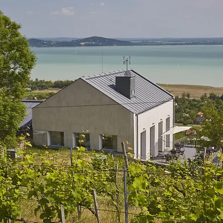 Patzay Borhotel Hotel Badacsony