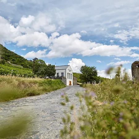 Patzay Borhotel Badacsony