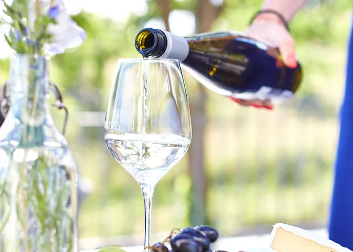 Patzay Borhotel Hotel