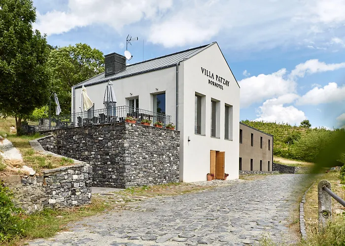 Hotel Patzay Borhotel