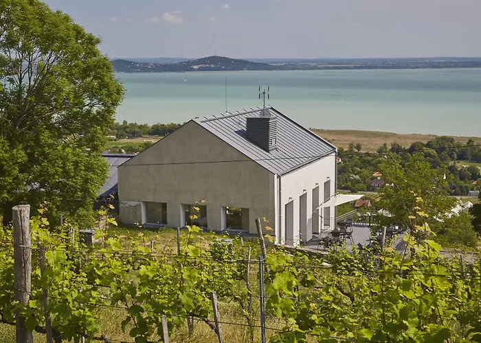 Patzay Borhotel Hotel Badacsony