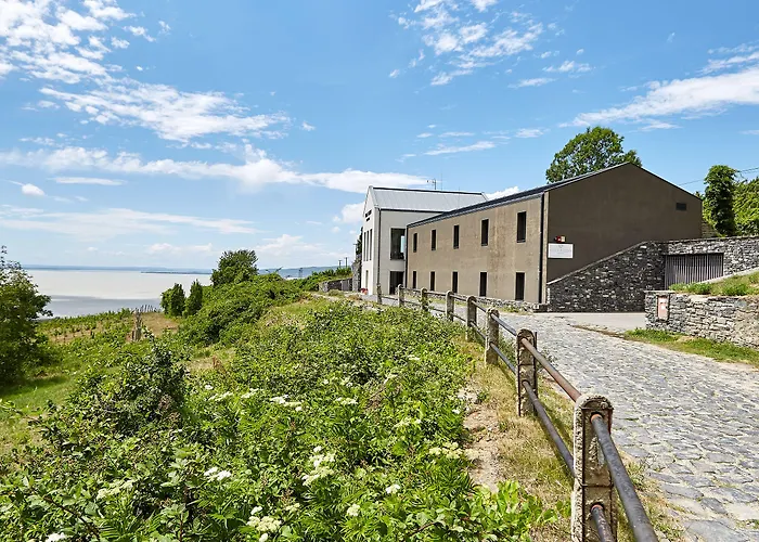 Hotel Patzay Borhotel