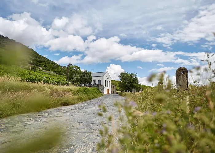 Patzay Borhotel Badacsony