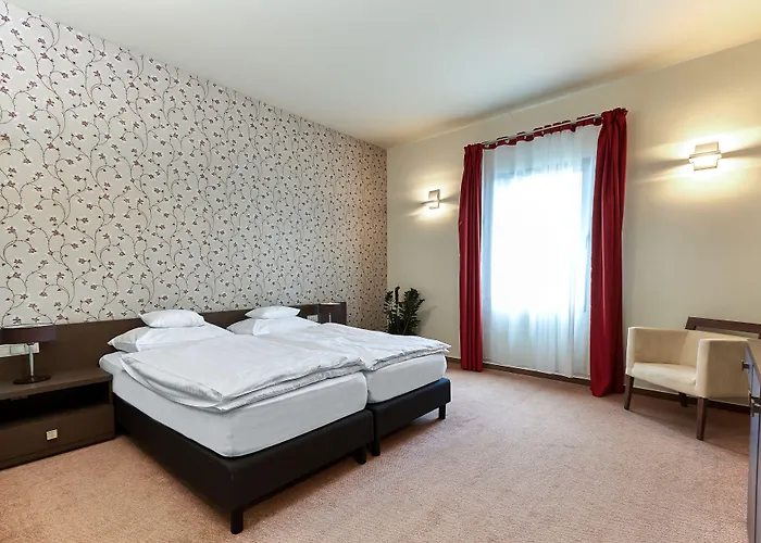 Hotel Patzay Borhotel